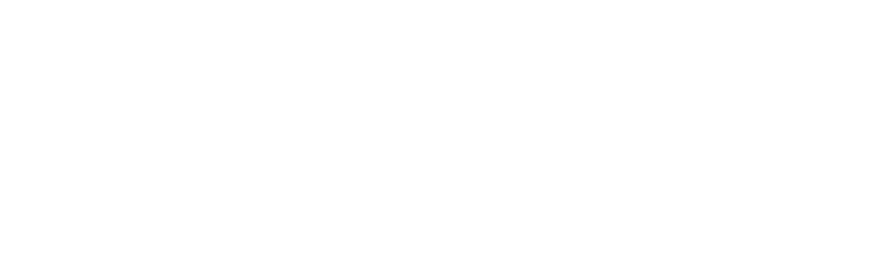 Elf Bar